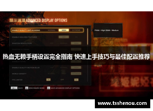 热血无赖手柄设置完全指南 快速上手技巧与最佳配置推荐
