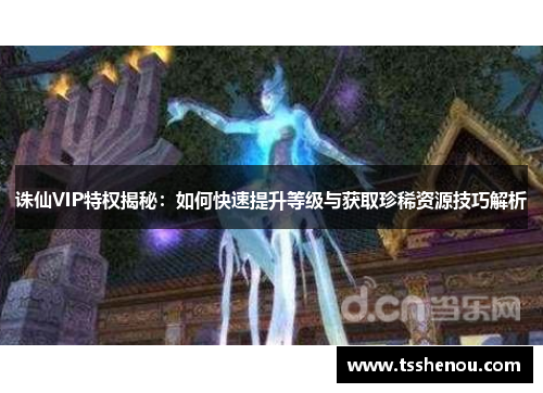 诛仙VIP特权揭秘：如何快速提升等级与获取珍稀资源技巧解析