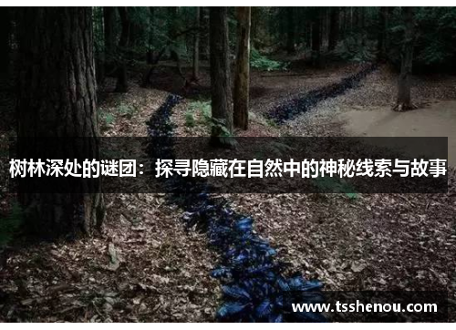 树林深处的谜团：探寻隐藏在自然中的神秘线索与故事